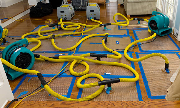 Professional Basement Flood Cleanup technician working in Alfred, ME